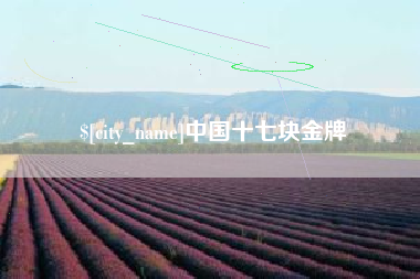 云梦中国十七块金牌