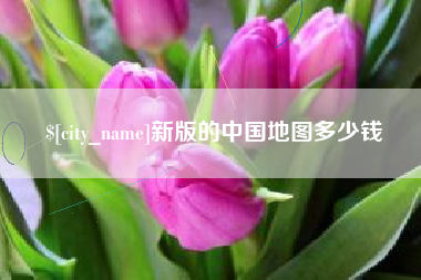 云梦新版的中国地图多少钱