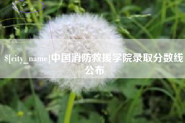 云梦中国消防救援学院录取分数线公布