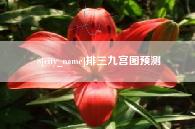云梦排三九宫图预测
