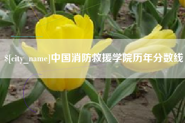 云梦中国消防救援学院历年分数线