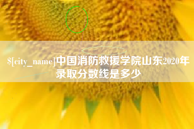云梦中国消防救援学院山东2020年录取分数线是多少