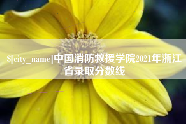 云梦中国消防救援学院2021年浙江省录取分数线