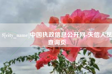 云梦中国执政信息公开网-失信人员查询页