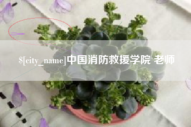 云梦中国消防救援学院 老师