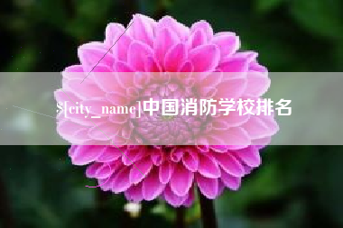 云梦中国消防学校排名