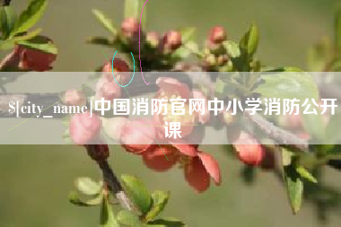 云梦中国消防官网中小学消防公开课