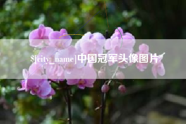 云梦中国冠军头像图片