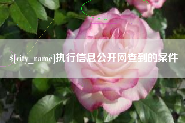 云梦执行信息公开网查到的案件