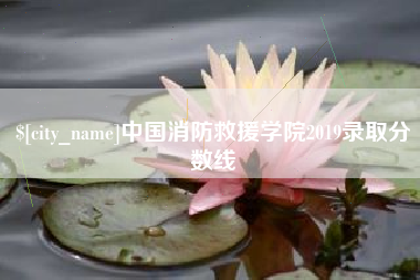 云梦中国消防救援学院2019录取分数线