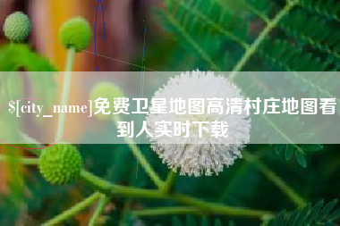 云梦免费卫星地图高清村庄地图看到人实时下载