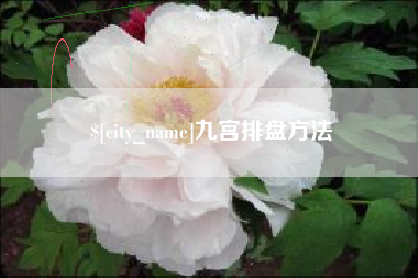 云梦九宫排盘方法
