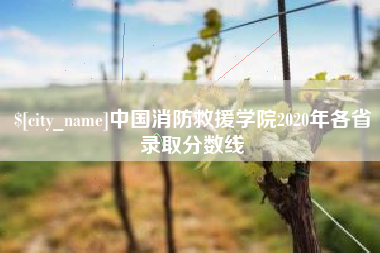云梦中国消防救援学院2020年各省录取分数线