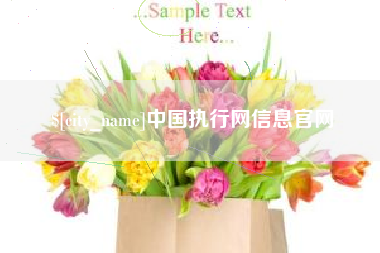 云梦中国执行网信息官网