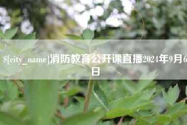 云梦消防教育公开课直播2024年9月6日