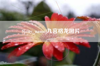 云梦九宫格龙图片