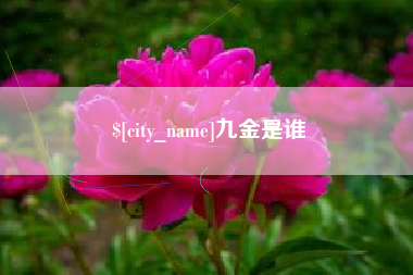 云梦九金是谁