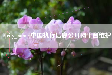 云梦中国执行信息公开网平台维护
