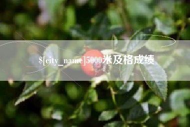云梦5000米及格成绩