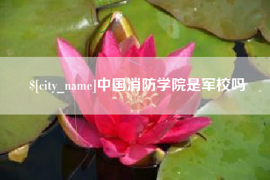 云梦中国消防学院是军校吗