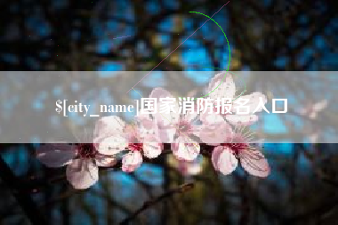 云梦国家消防报名入口