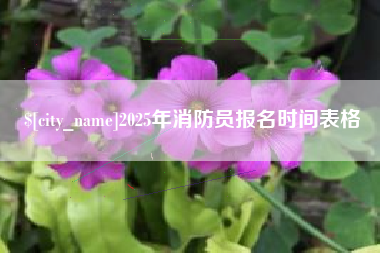 云梦2025年消防员报名时间表格