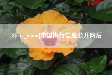 云梦中国执行信息公开网后