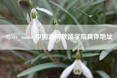云梦中国消防救援学院具体地址