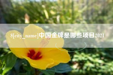 云梦中国金牌是哪些项目2021
