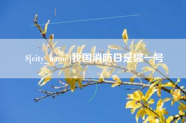 云梦我国消防日是哪一号