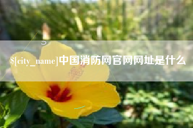 云梦中国消防网官网网址是什么