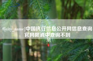 云梦中国执行信息公开网信息查询官网限消中查询不到