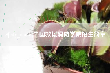 云梦中国救援消防学院招生简章