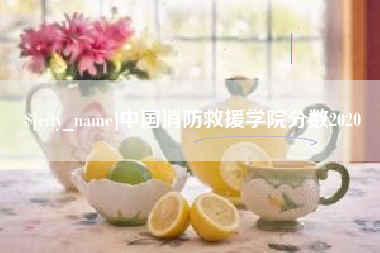 云梦中国消防救援学院分数2020