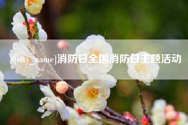 云梦消防日全国消防日主题活动
