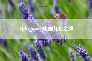 云梦中国九枚金牌