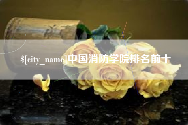 云梦中国消防学院排名前十