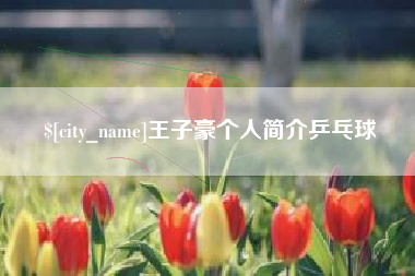 云梦王子豪个人简介乒乓球