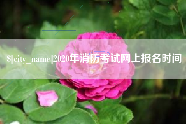 云梦2020年消防考试网上报名时间