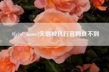 云梦失信被执行官网查不到