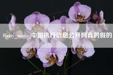 云梦中国执行信息公开网真的假的