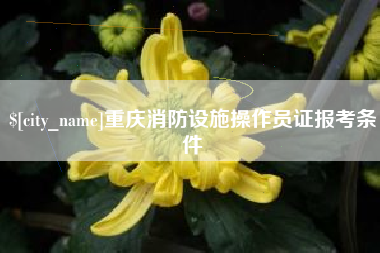 云梦重庆消防设施操作员证报考条件