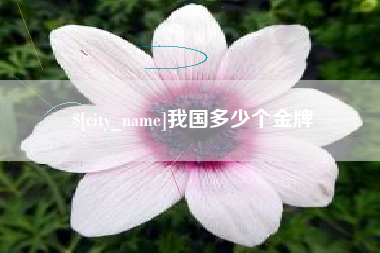 云梦我国多少个金牌