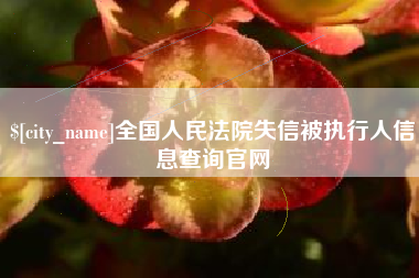 云梦全国人民法院失信被执行人信息查询官网