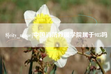云梦中国消防救援学院属于985吗