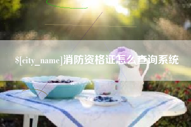 云梦消防资格证怎么查询系统