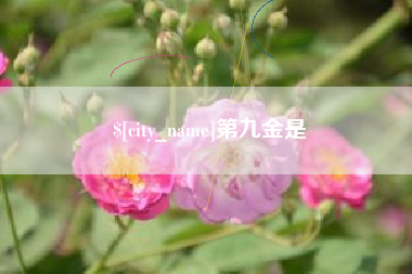云梦第九金是