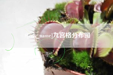 云梦九宫格分布图