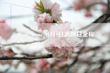 云梦11月9日消防日全称