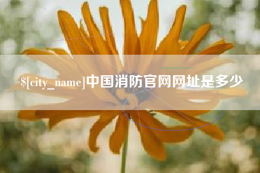 云梦中国消防官网网址是多少